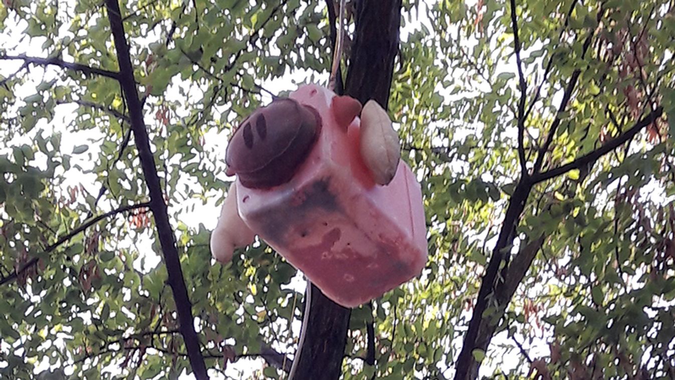 El kell menni otthonról néha, hogy ne menjenek el otthonról