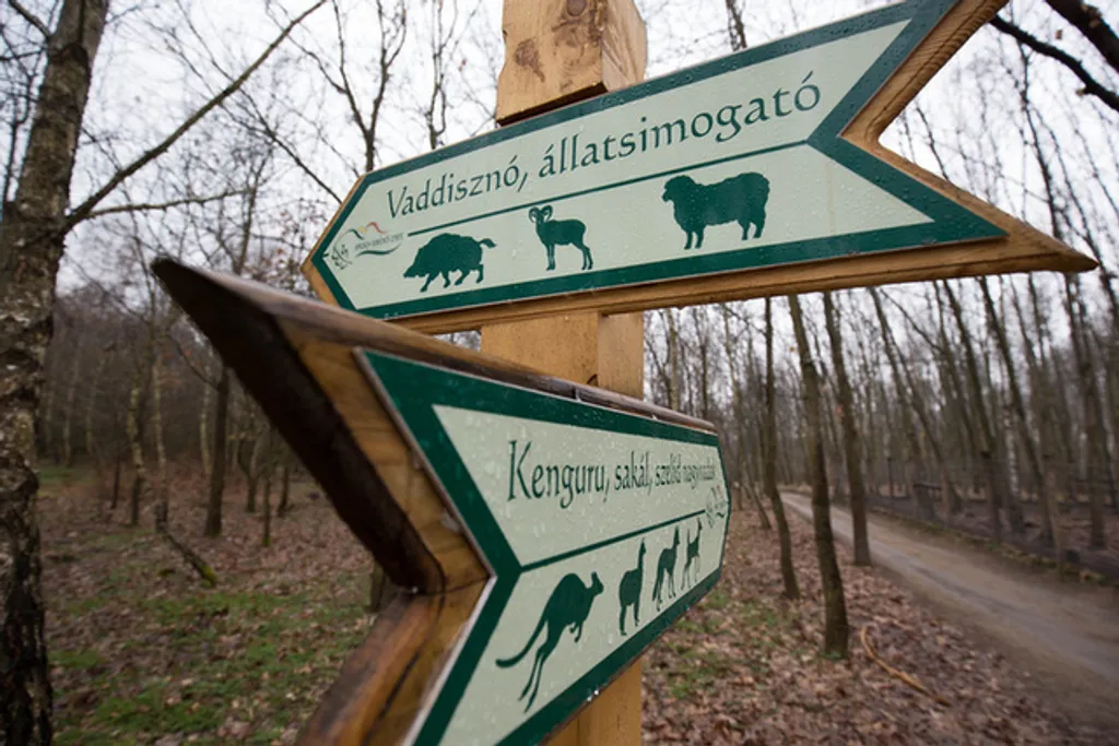 Fotó: Nyírjesi Füvészkert és Vadaspark 