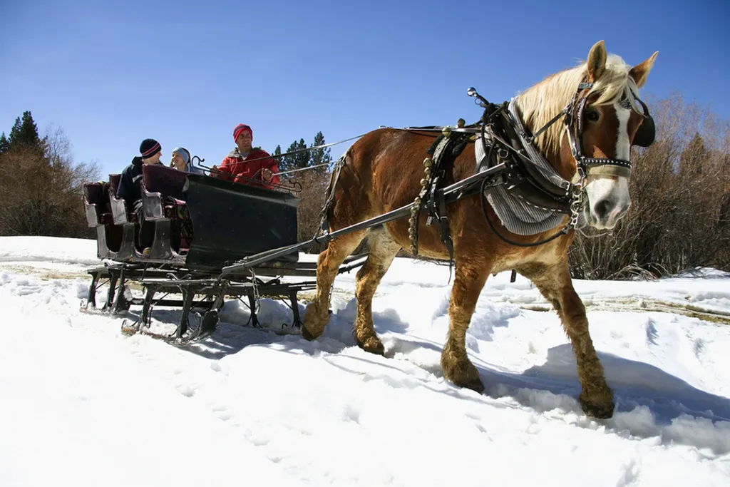 Fotó: Northfoto 