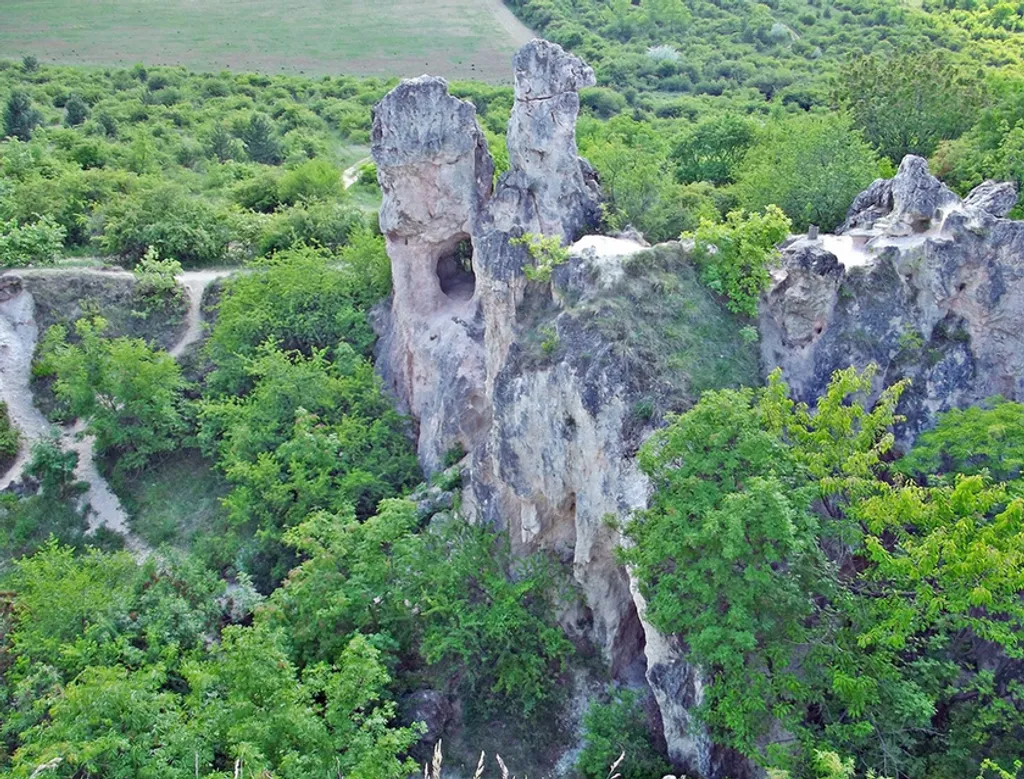 Fotó: bokamari / Indafotó 