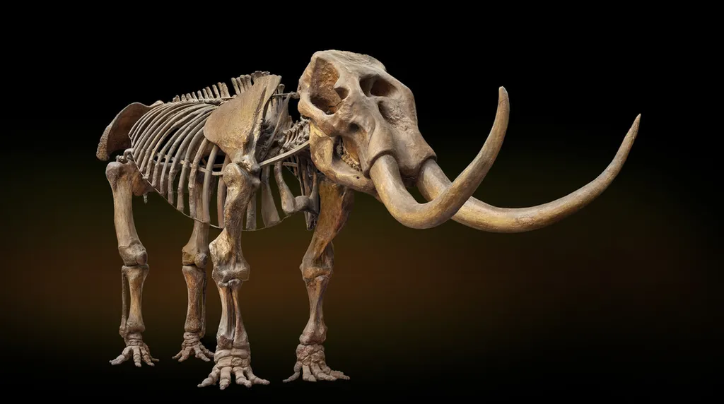 Fotó: Natural History Museum 