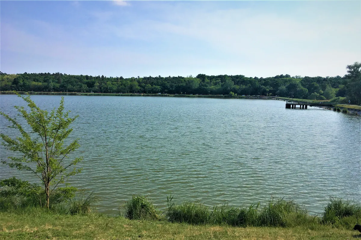 A Naplás-tó Budapest egyik kedvenc rekreációs úti célja.