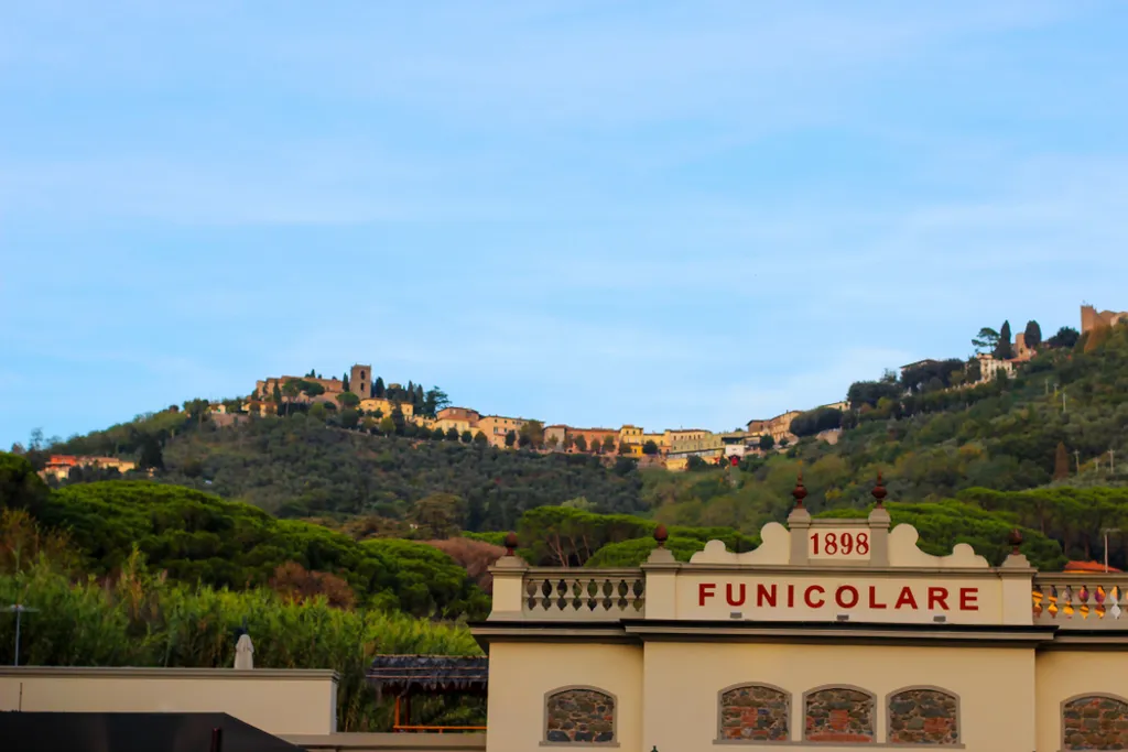 Forrás: Shutterstock.com 