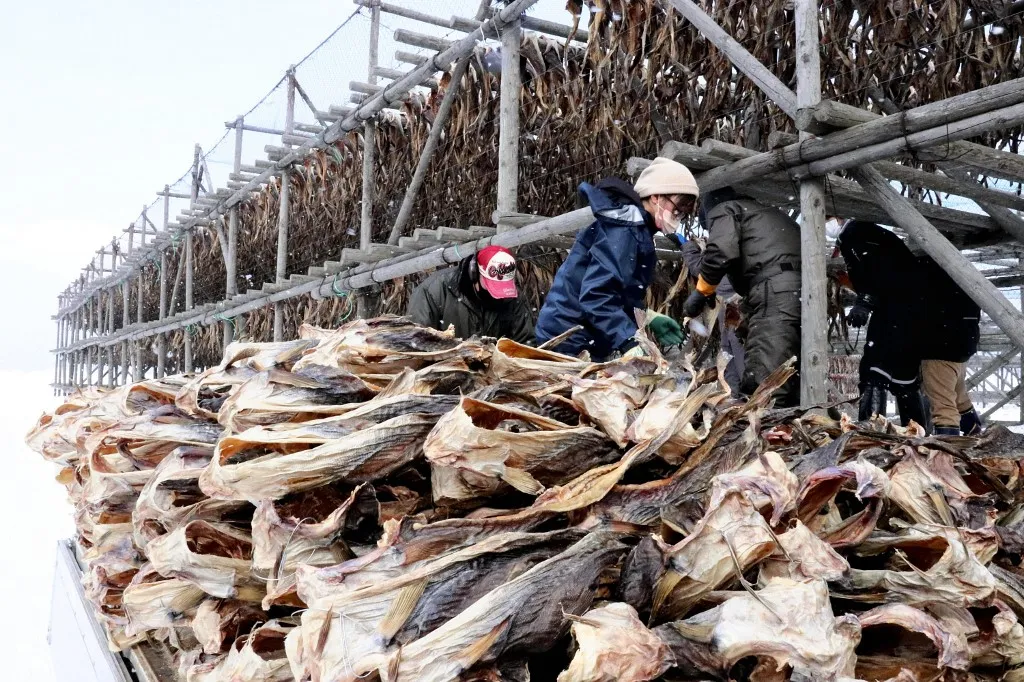Forrás: The Yomiuri Shimbun via AFP/Yomiuri/Toshihiro Nakao
