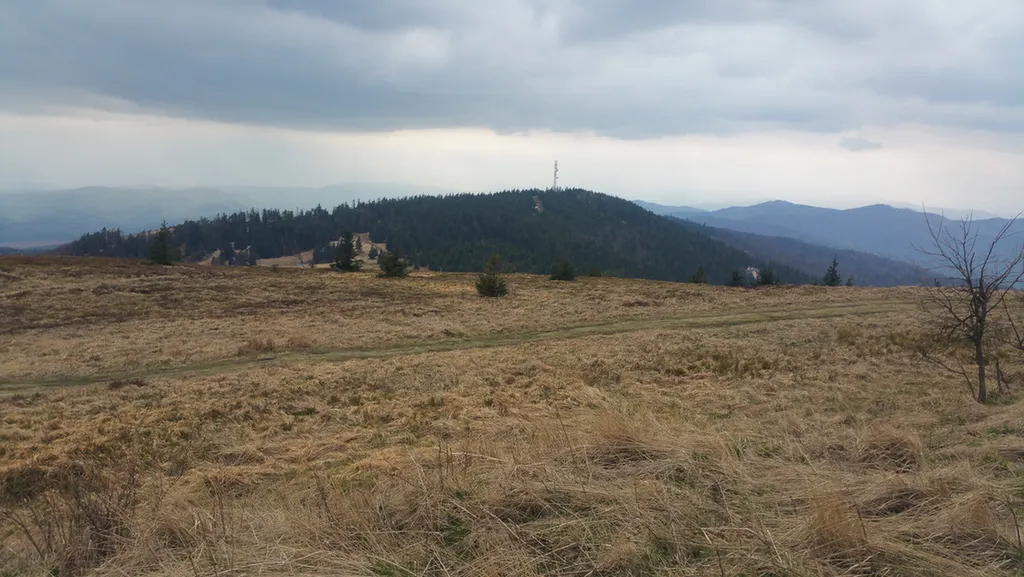 Fotó: Shifty / Travelo.hu 