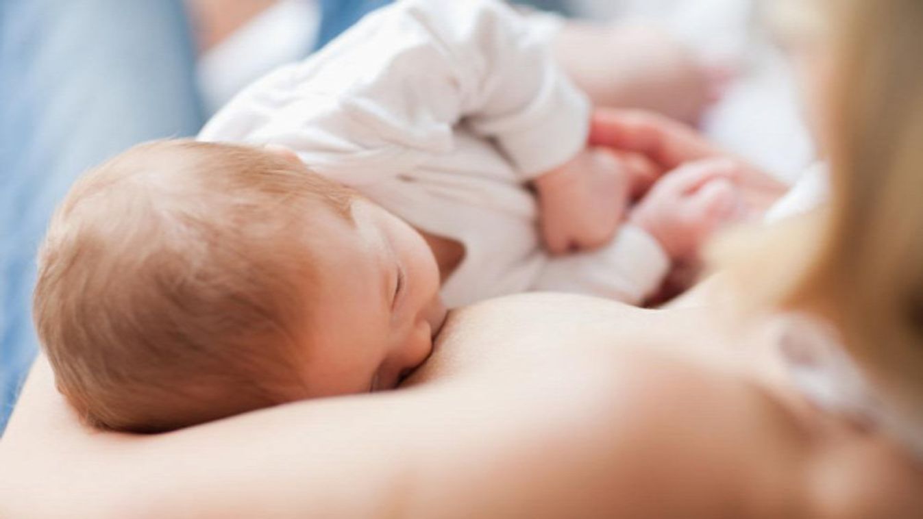 Káosz lenne, ha 20-30 anyuka igény szerint szoptathatna a kórházban
