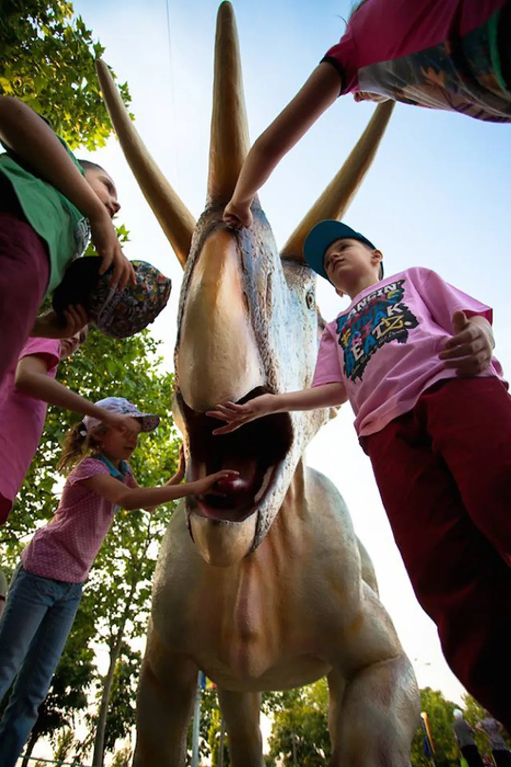 Fotó: Dino Parc Rasnov 