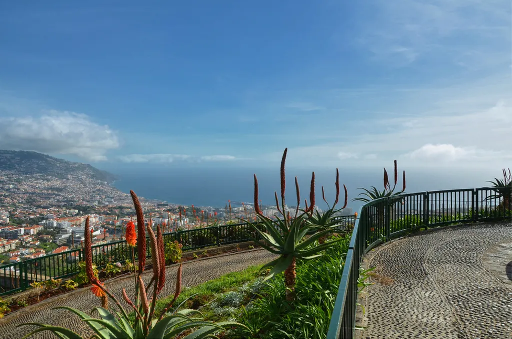 Fotó: Francisco Correia / Turismo da Madeira 