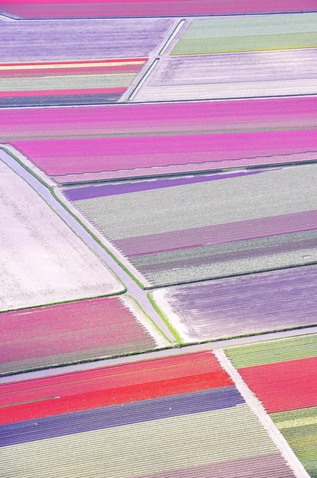 Fotó: Solent News Photo Agency / Northfoto 