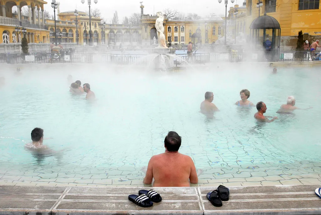 Fotó: Mark H. Milstein/ Northfoto / Northfoto 