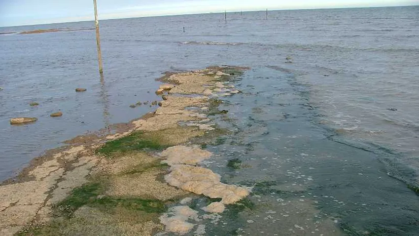 Broomway