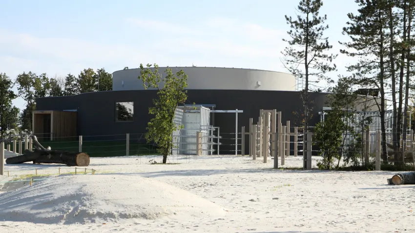 Átadták az elefántparkot a veszprémi állatkertben