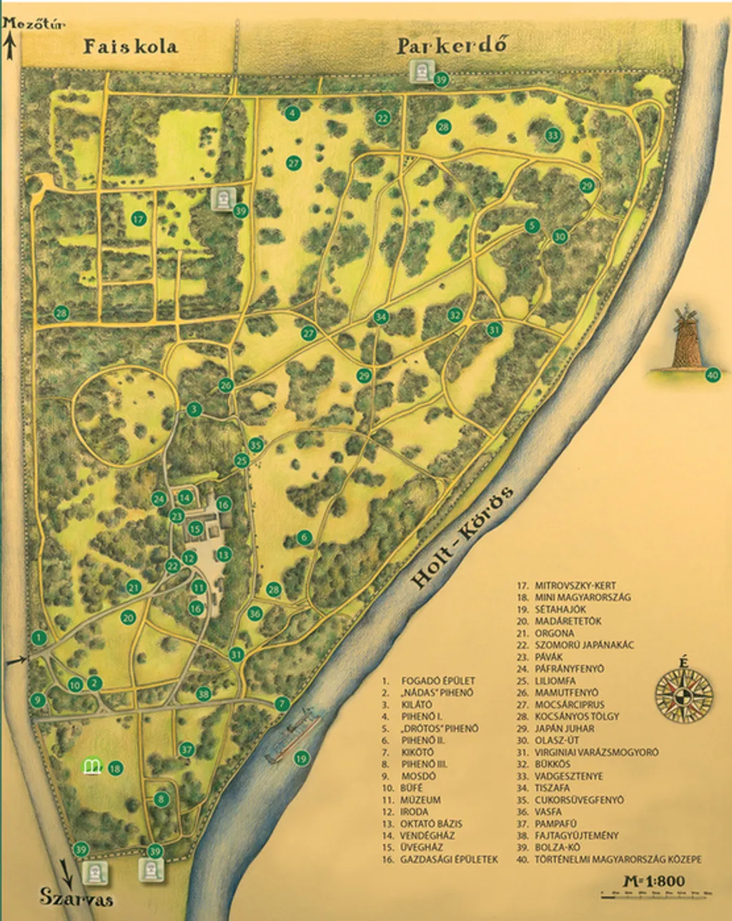 Fotó: Szarvasi Arborétum 