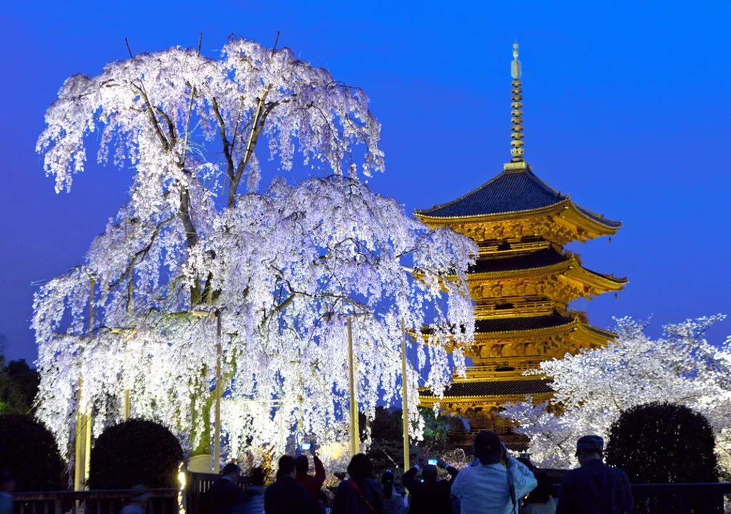 Fotó: The Asahi Shimbun / Getty Images 
