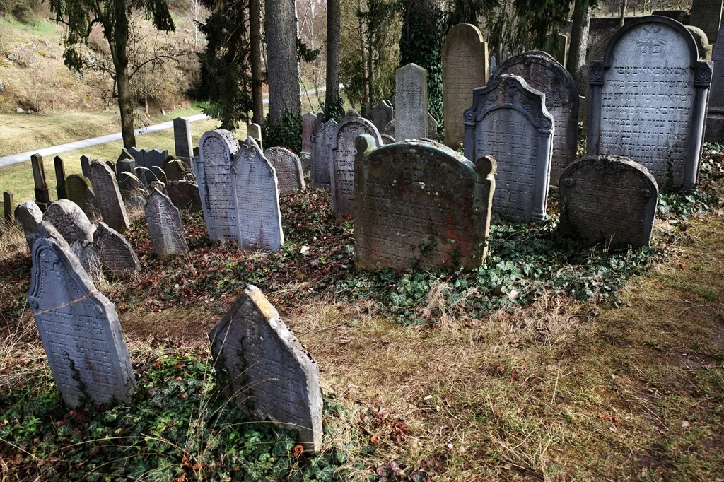 Forrás: Jaroslav A. Polak/shutterstock.com