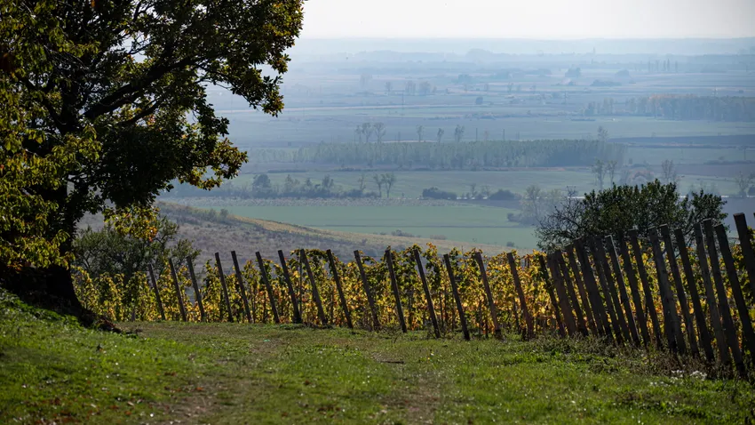 Képekben az elmúlt 24 óra - október 20.