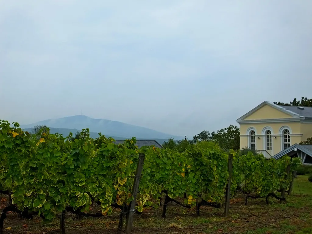 Fotó: Németh Péter / TTHE Tokaj 