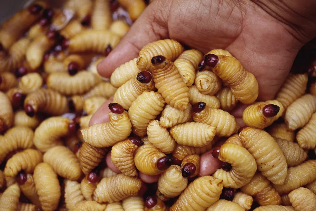 Fotó: Eric-Paul-Pierre Pasquier / Europress / Getty 