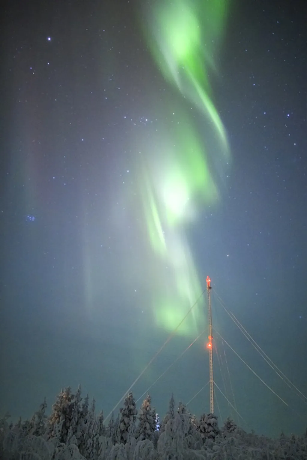 Fotó: Marko Korosec / Barcroft Usa / Northfoto 