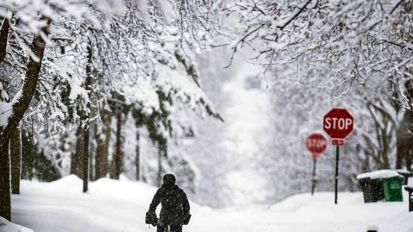 A nap legjobb fotói - január 5.