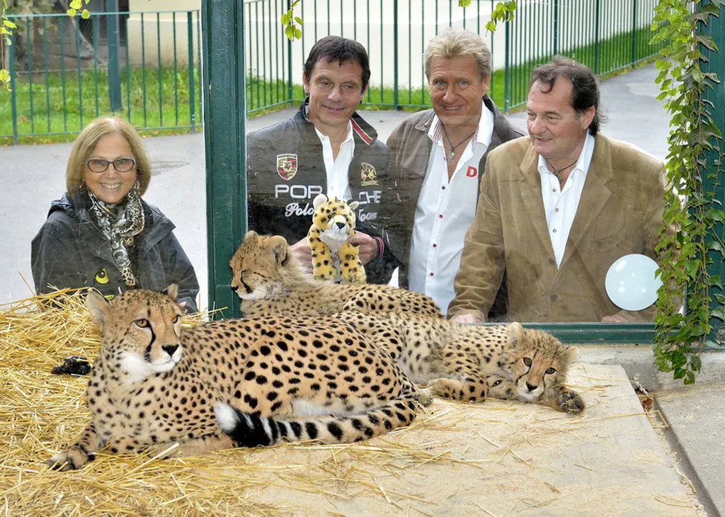 Fotó: Norbert Potensky / Zoo Vienna Schönbrunn 