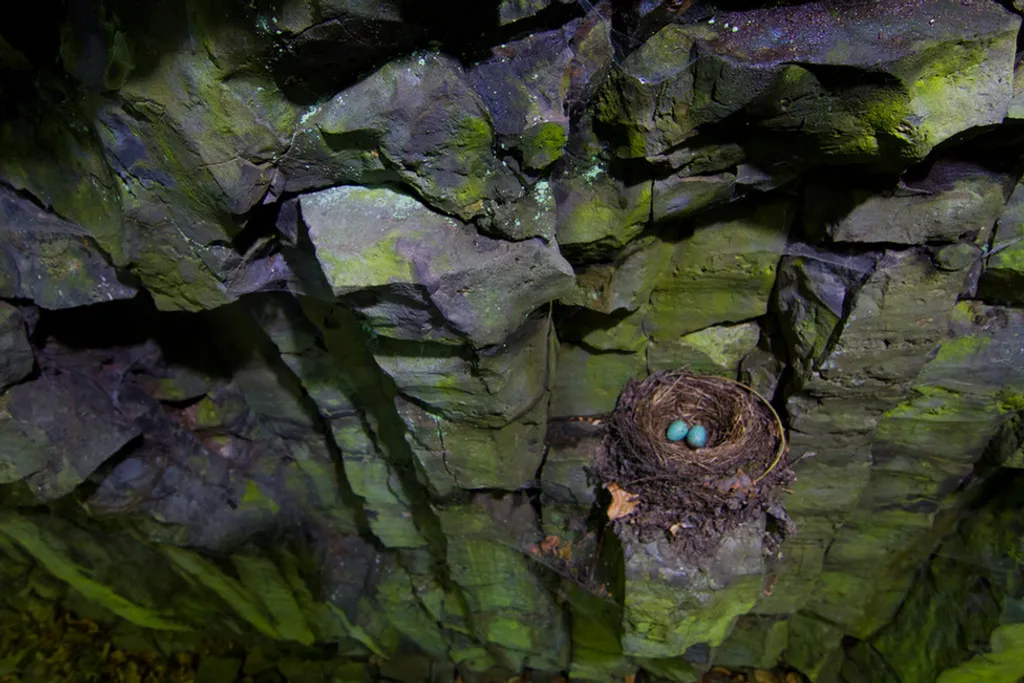 Fotó: Drexler Szilard / Geopark 