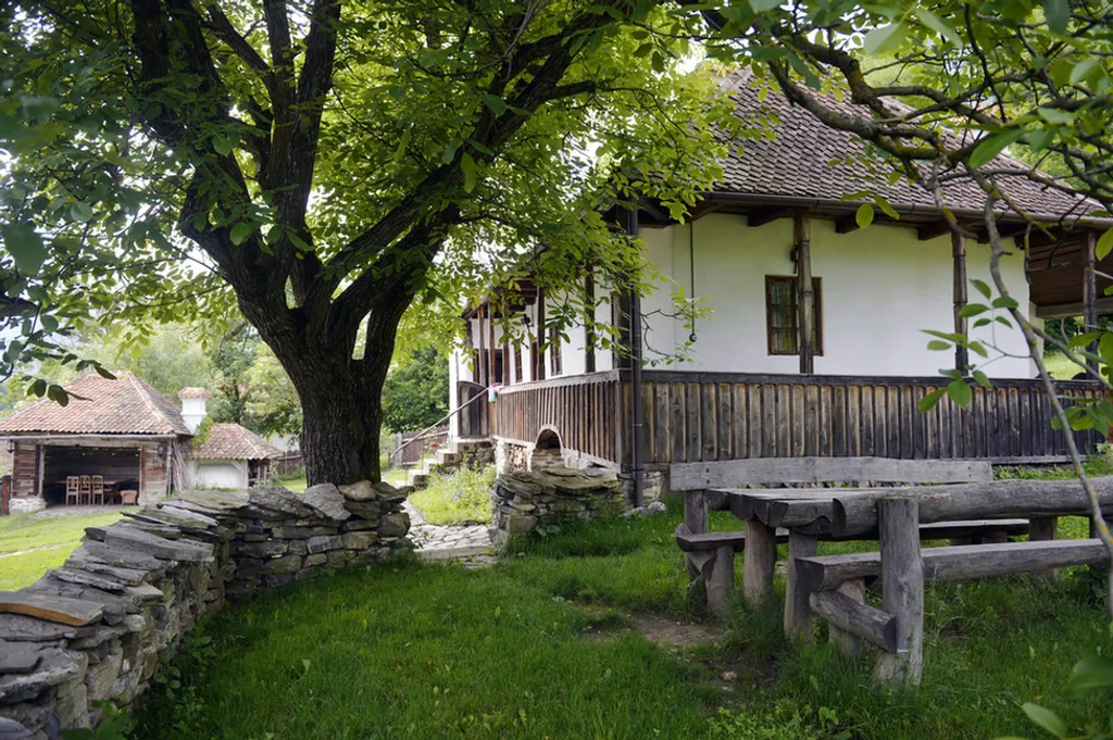 Fotó: Beliczay László / MTI 