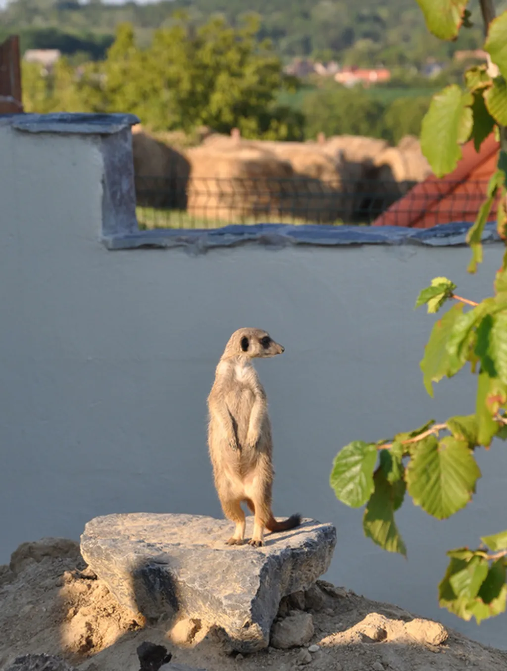Forrás: Travelo 