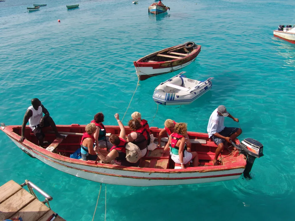 Barracuda Tours 
