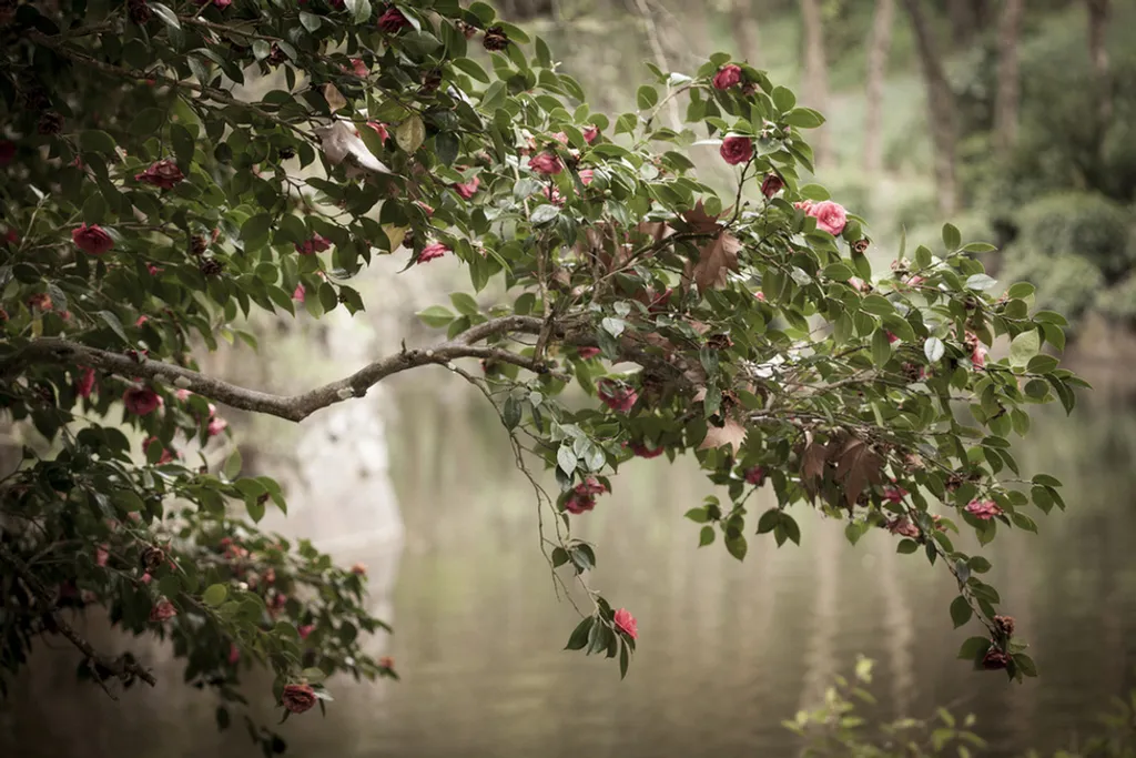 Sibylle Pietrek / IGPOTY 