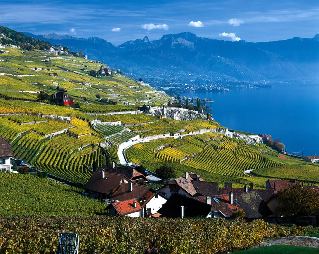 St/c. Sonderegger / Swiss Image 