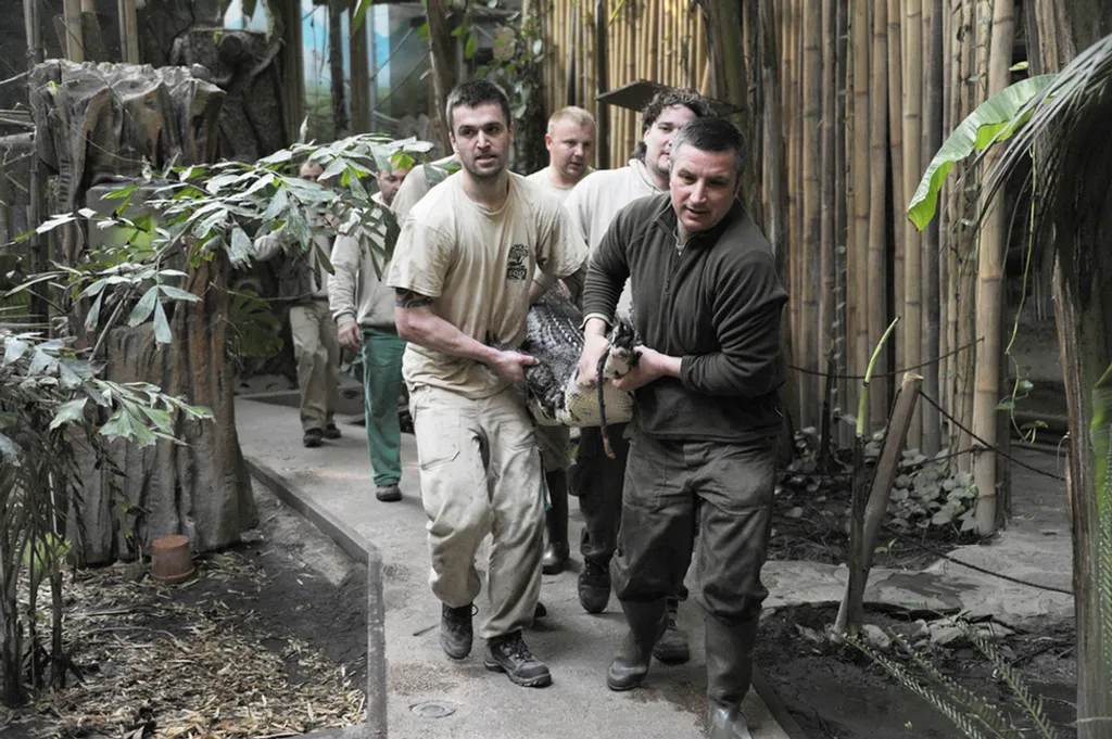 Fotó: Sóstó Zoo - Nyíregyházi Állatpark 