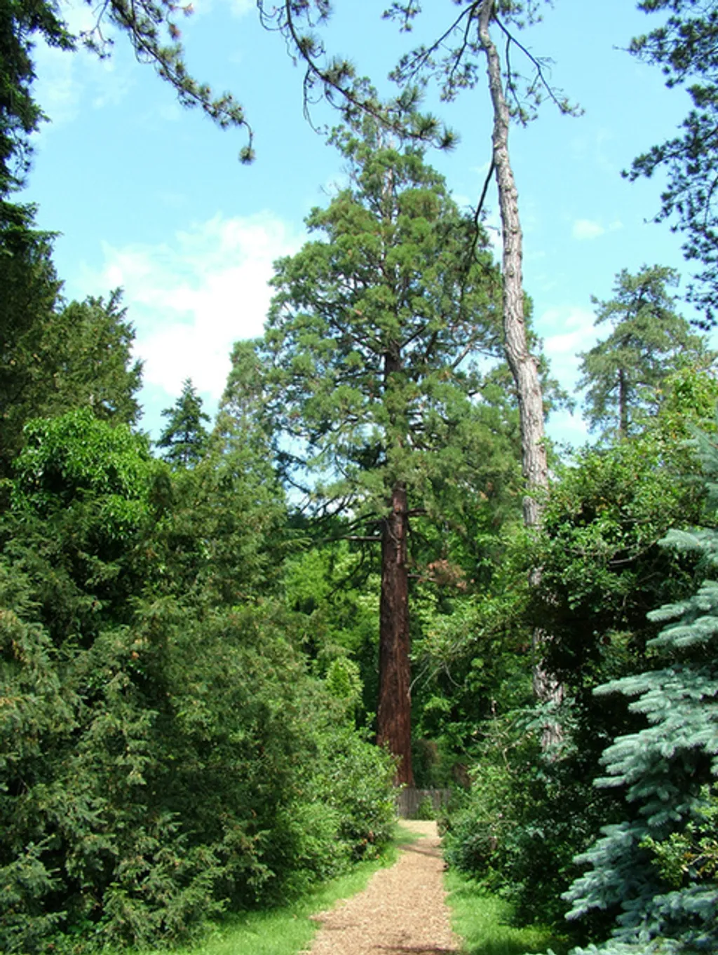 Fotó: Szarvasi Arborétum 