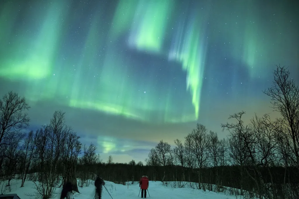 Fotó: Marko Korosec / Barcroft Usa / Northfoto 