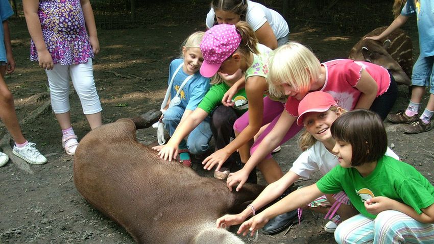 Bogarásszon, madarásszon, keverjen zoo-csemegét!