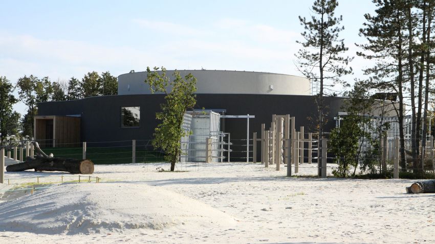 Átadták az elefántparkot a veszprémi állatkertben