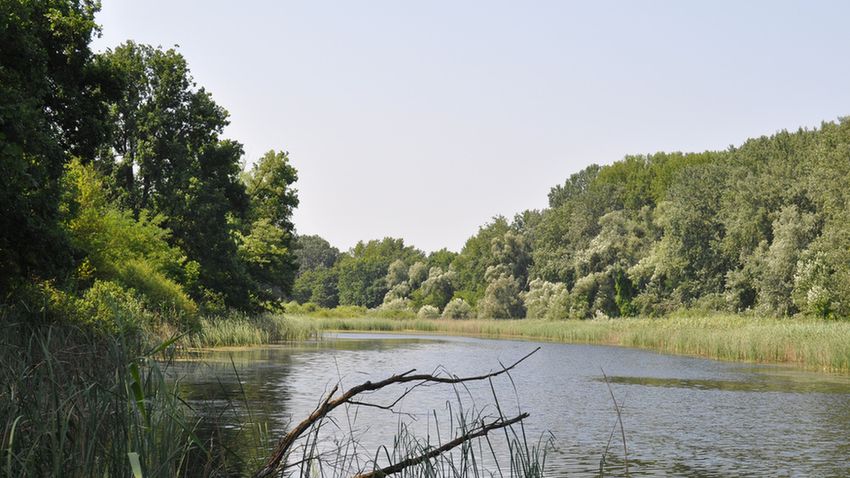 Ős_Dráva