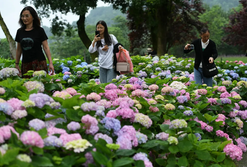 Forrás: Imaginechina via AFP/Stringer