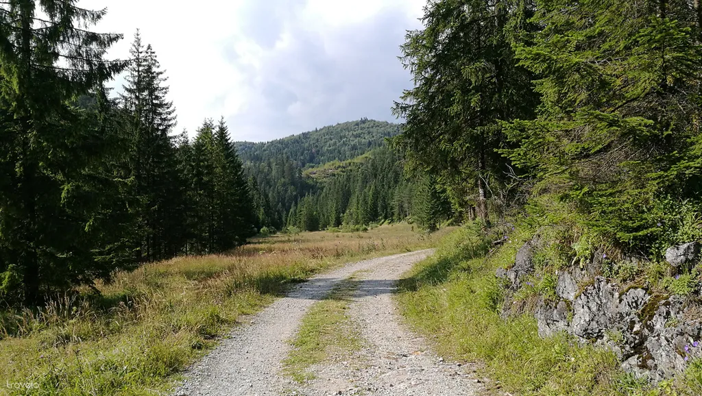 Fotó: Lónárt Dániel 