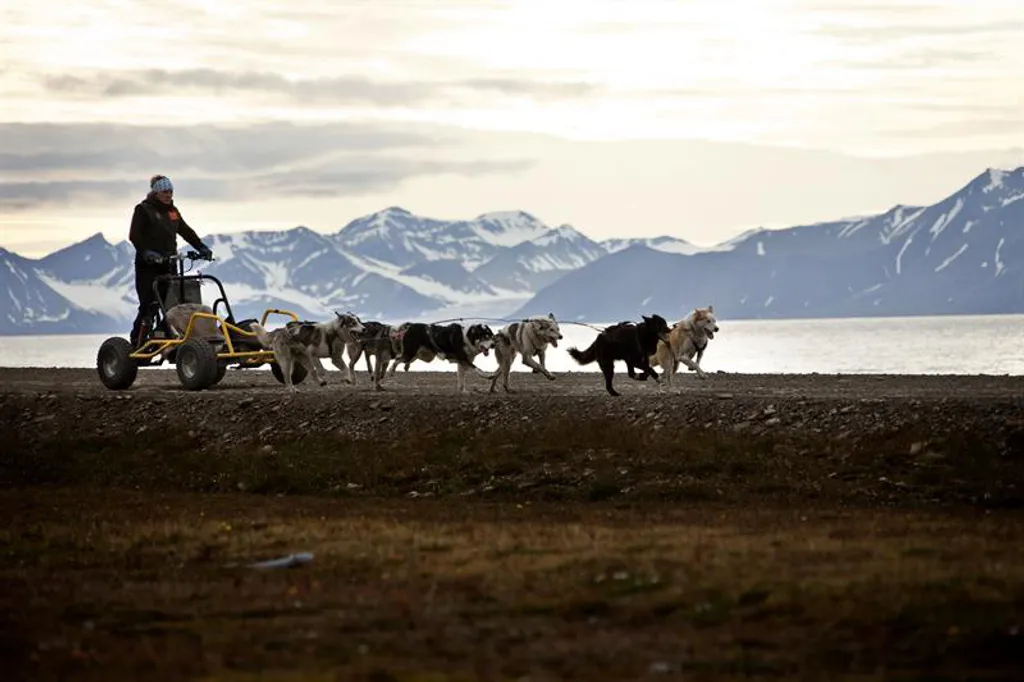 Fotó: visitsvalbard.com 