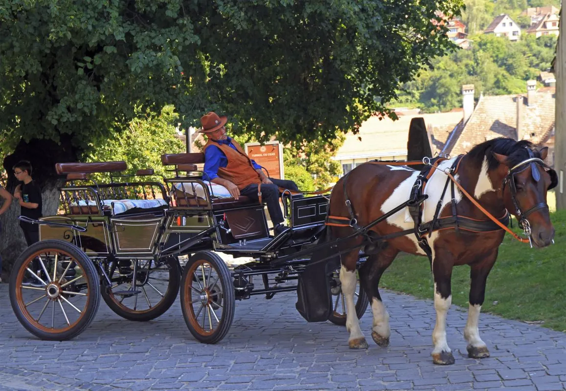 Sighisoara,,Romania,-,July,22,,2017:,Coach,Is,Sleeping,In