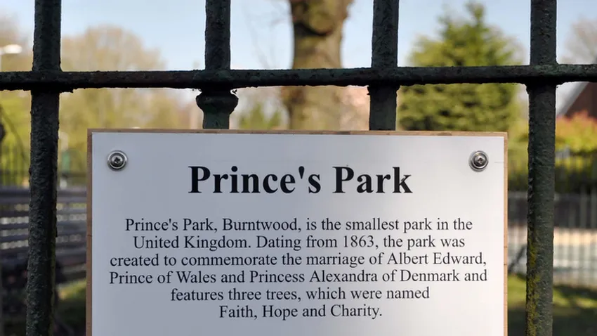 Mini park