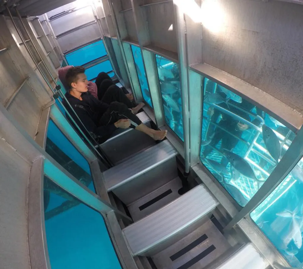 Fotó: Adventure Bay Charters 