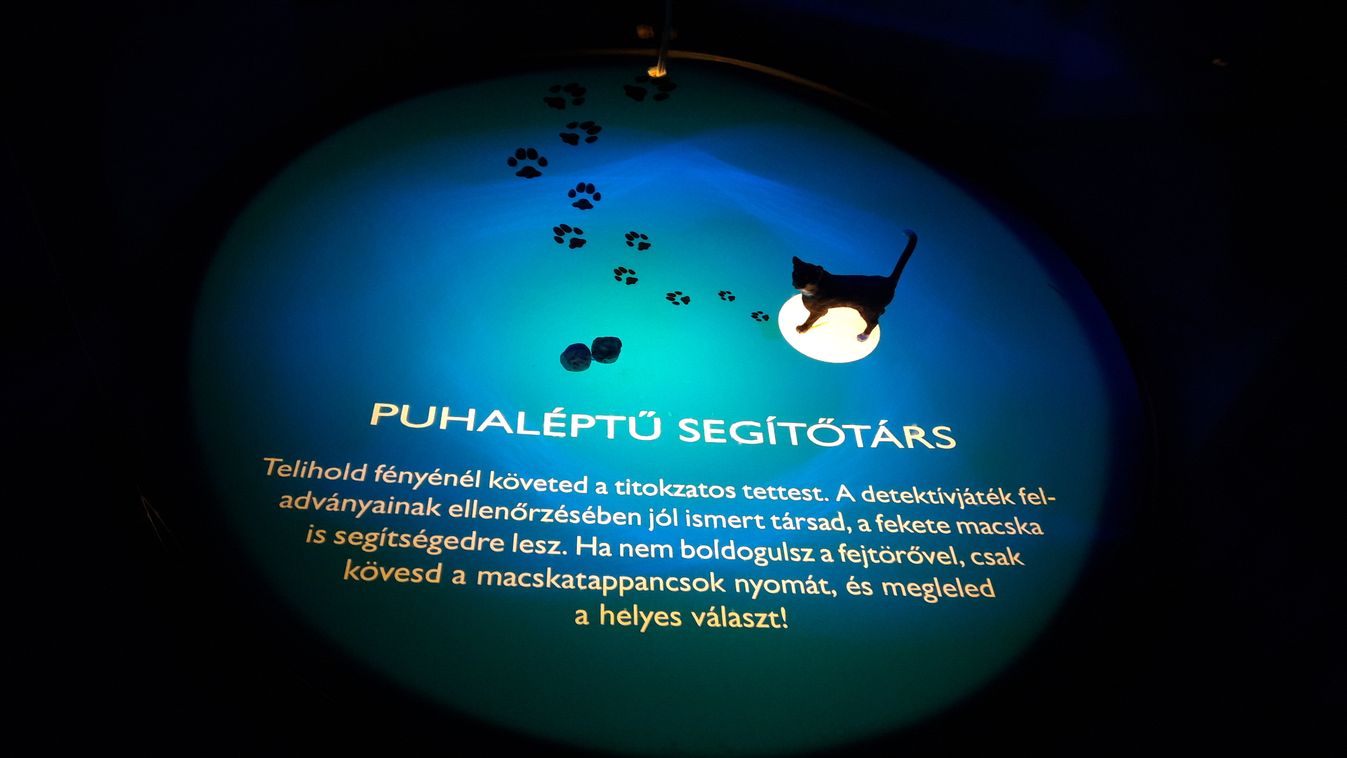Kövesd a csiga lábnyomát a sötétben!