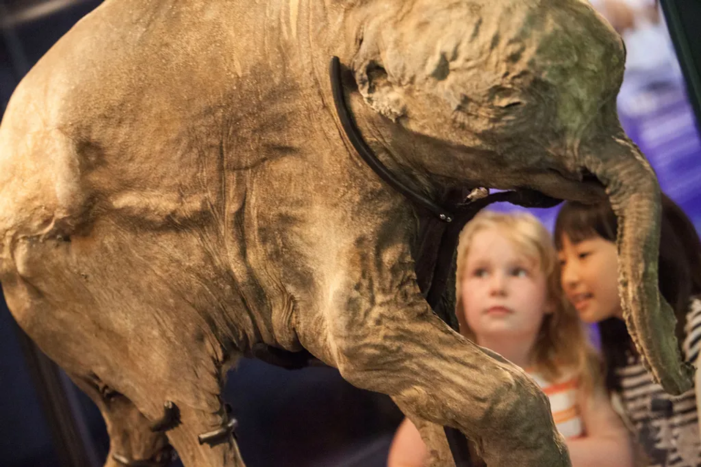 Fotó: Kevin Webb/nhm Image Resources / Natural History Museum 