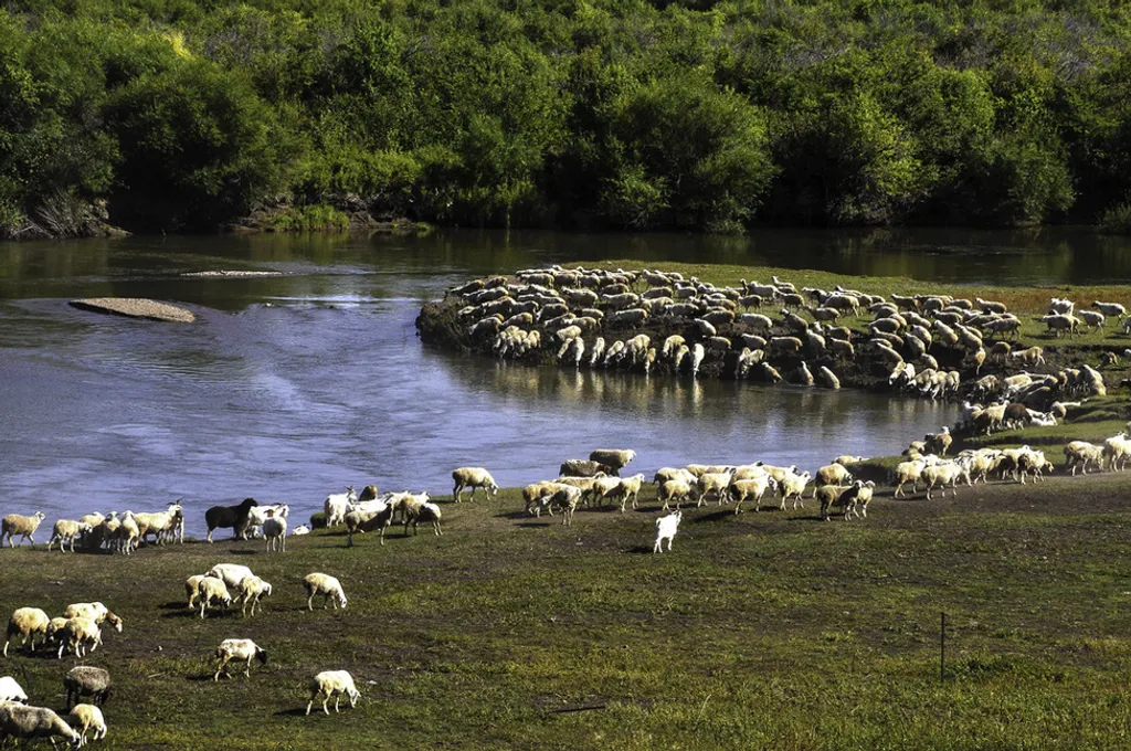 Fotó: Jixin Yu / Northfoto 