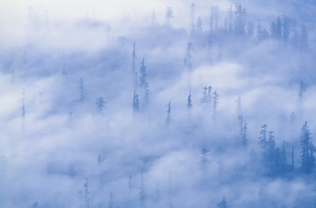 Fotó: Northfoto / Northfoto 