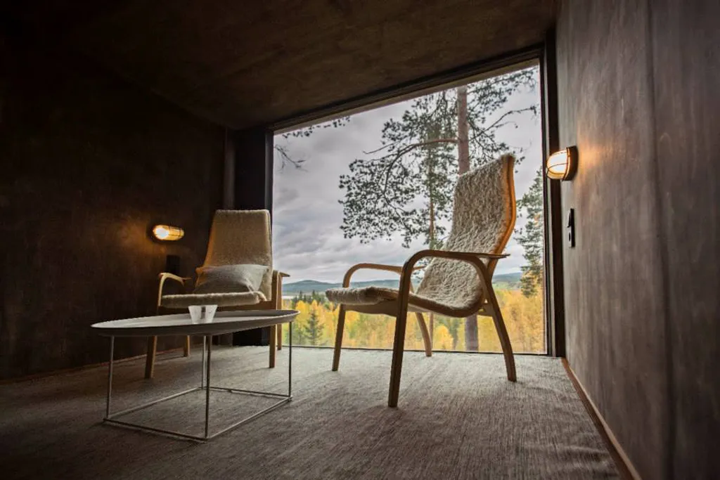 Fotó: Treehouse 