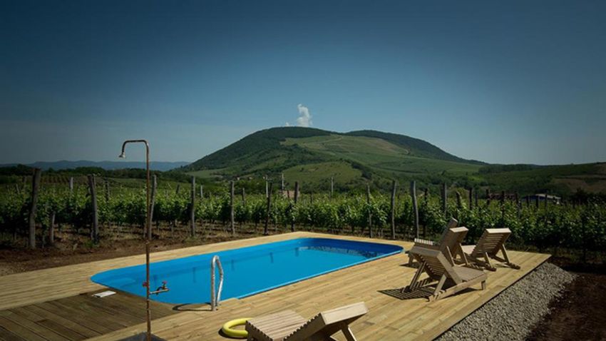 Almagyar Borkemping, Borkemping és VenyigeSpa