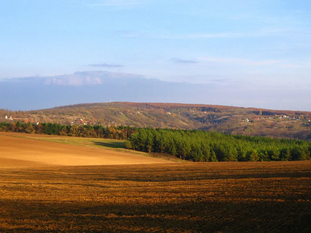 Fotó: katonams / Wikipedia 